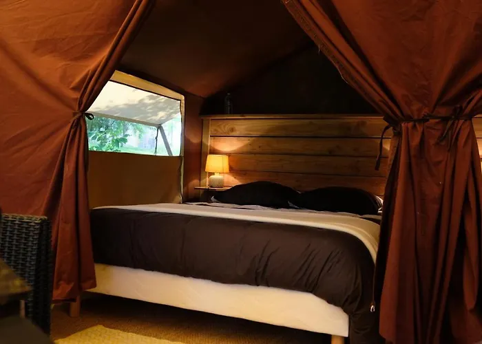 Domaine Les Miquels Castelnau-de-Montmiral