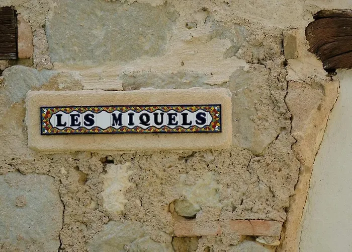 Domaine Les Miquels Castelnau-de-Montmiral